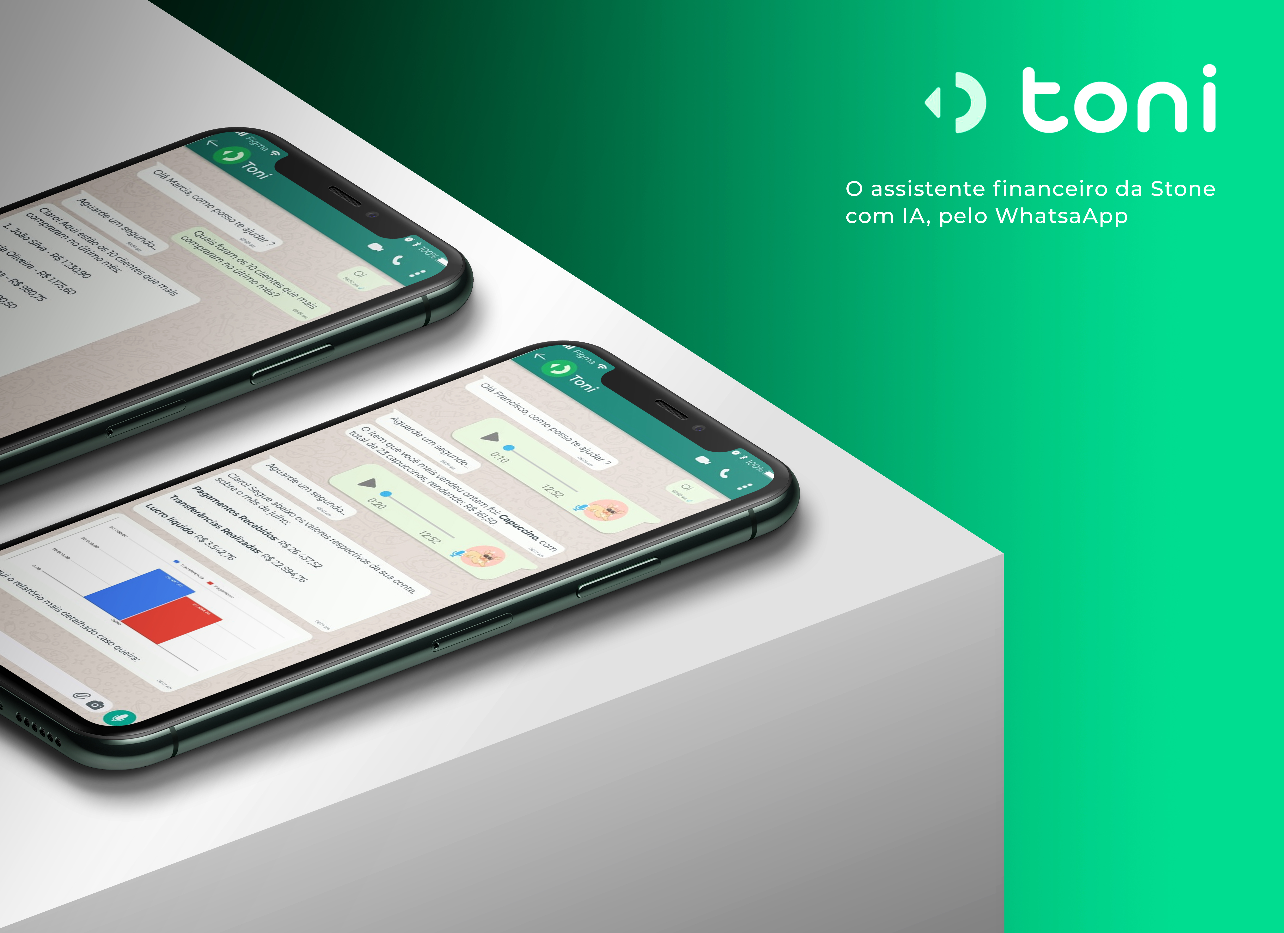 Toni Assistente Financeiro